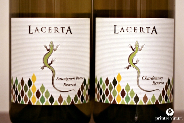 6 soparle din specia LacertA Winery