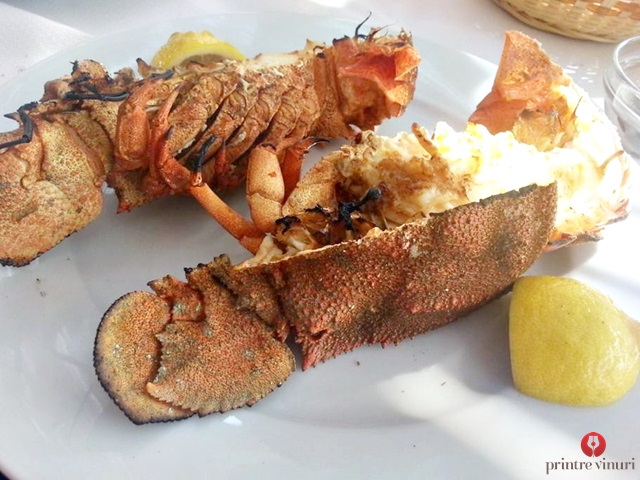 lobster-erasmia-tavern-petani-beach