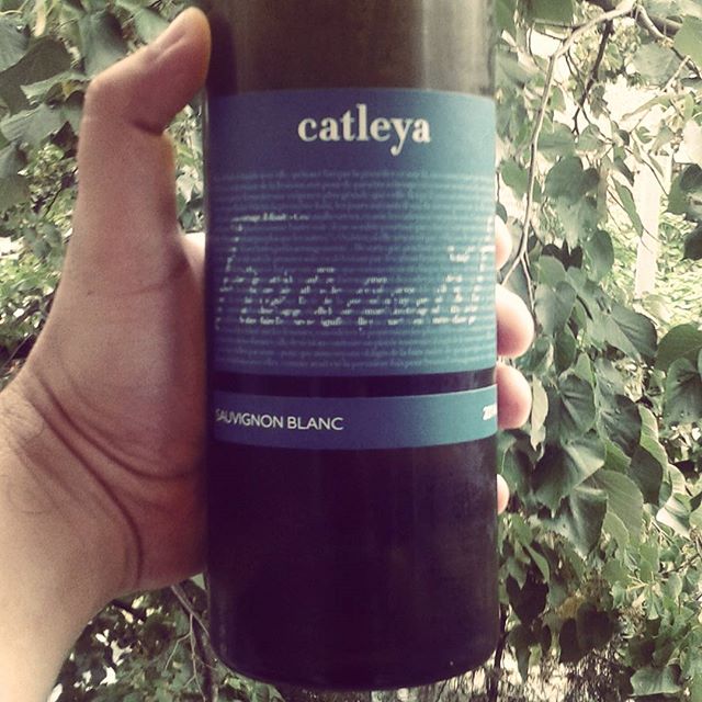 Freamat Alb (Sauvignon Blanc) 2014, Catleya